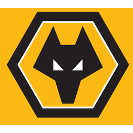 球迷网 Logo